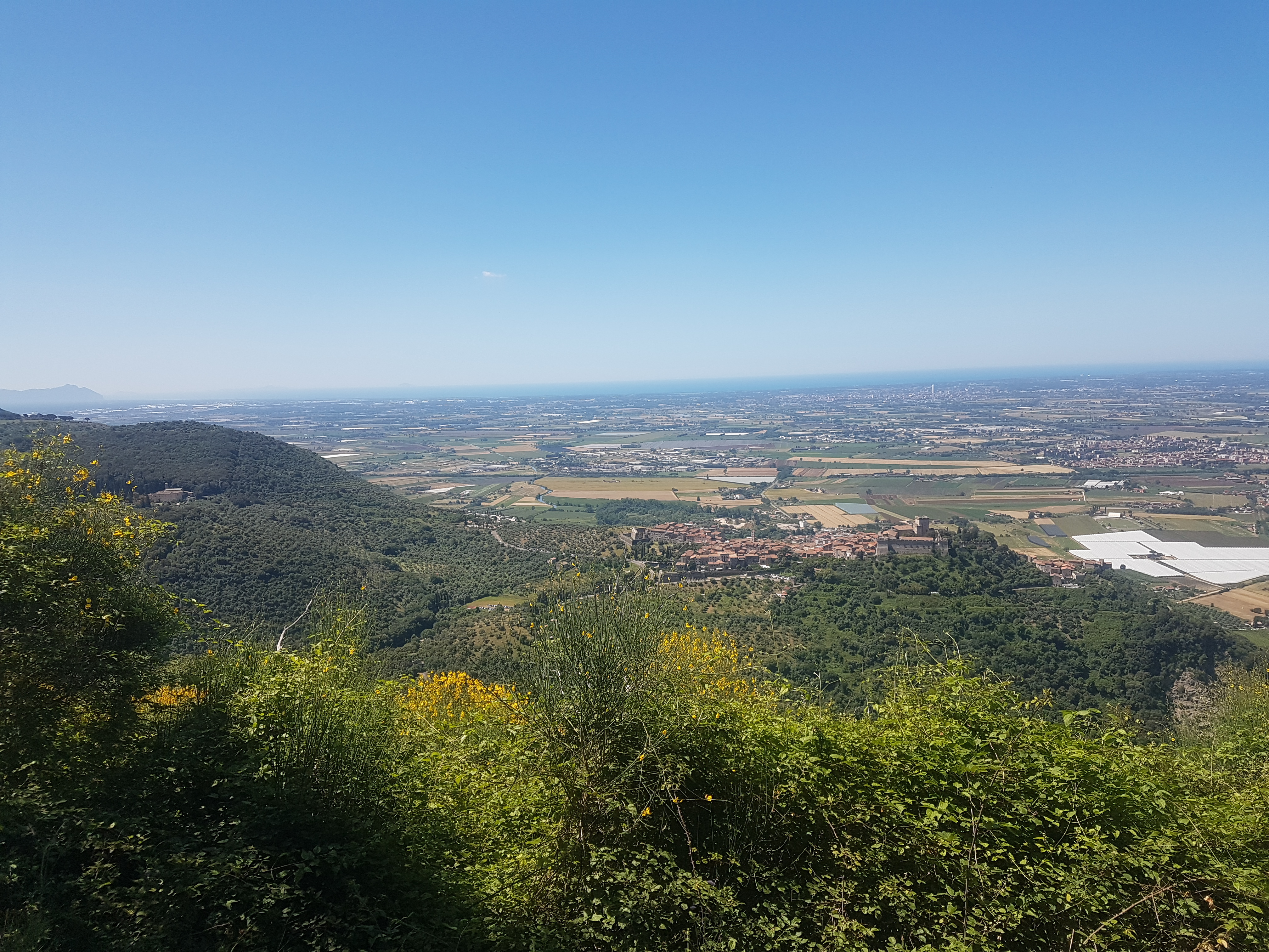 eventi/546-TAM Mt- Carbolino-2026-05-24/fotopresentazione/images/CArbolino.jpg
